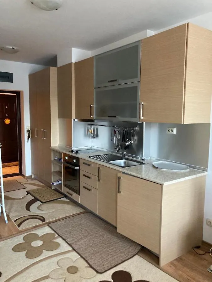 Studio Detelina Residence بانسكو شقة