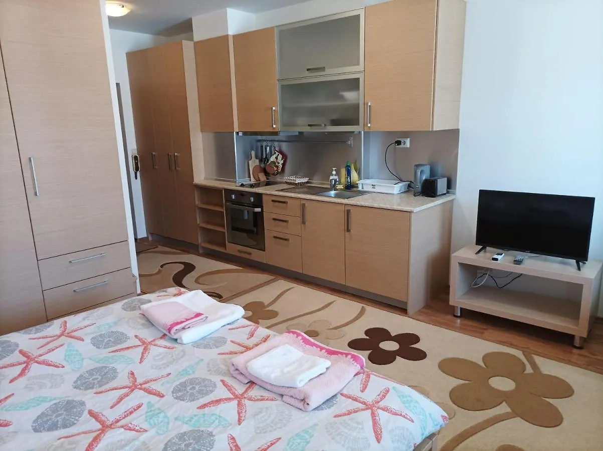 Studio Detelina Residence بانسكو شقة