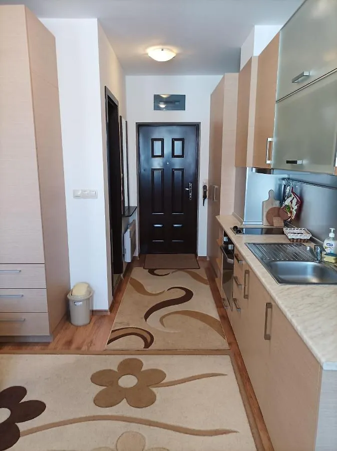 Studio Detelina Residence بانسكو 0*,
