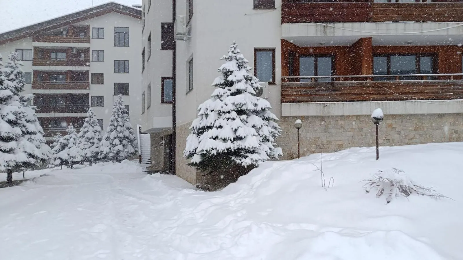 شقة Studio Detelina Residence بانسكو بلغاريا