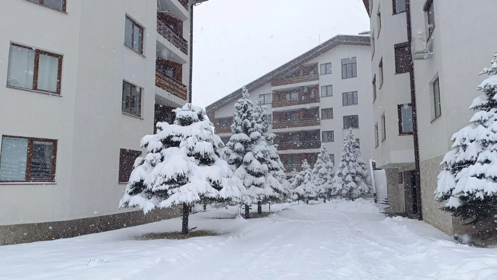 شقة Studio Detelina Residence بانسكو