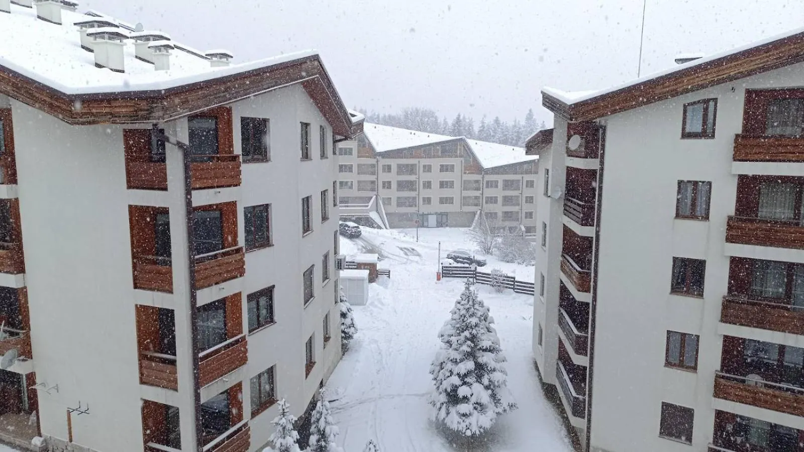 Studio Detelina Residence بانسكو