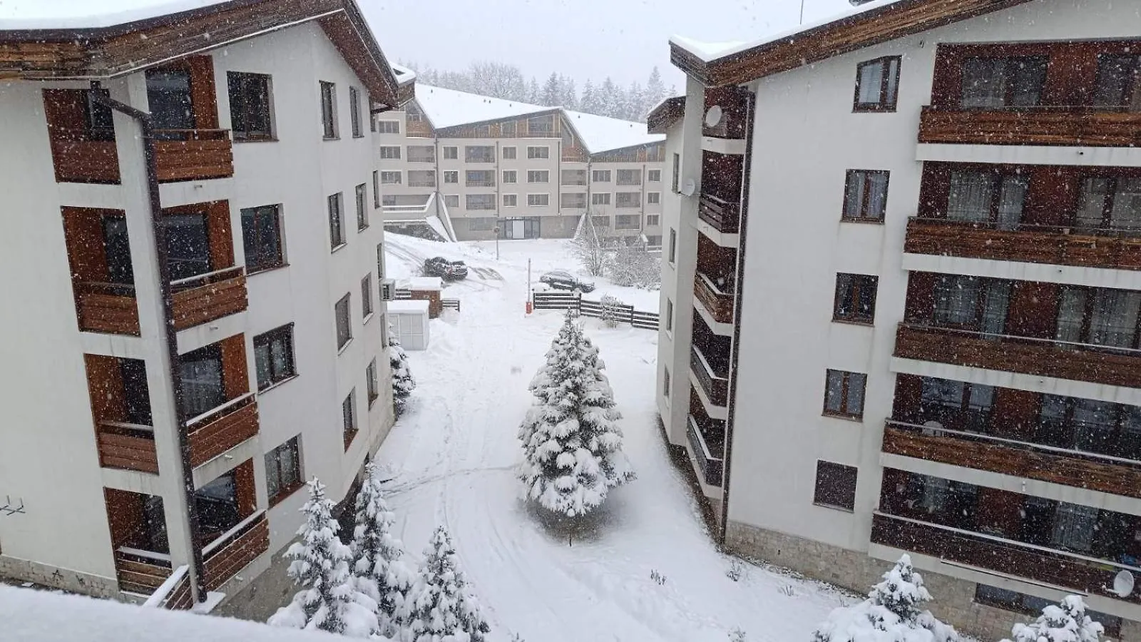 Studio Detelina Residence بانسكو بلغاريا